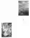 Fig. 02 - Synthetic threads and materials and garments produced therewith
