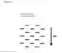 Fig. 02 - Nonwoven fabric and process for forming the same