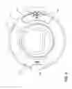Fig. 10 - Laundry appliance door assembly