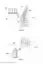 Fig. 04 - Apparatus for controlling water flow from an irrigation ditch