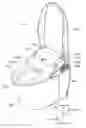 Fig. 01 - Sanitary washing device