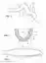 Fig. 02 - Stiffness control in a structural member having an inflatable component
