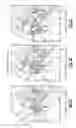 Fig. 08 - Motorcycle engine with an always spring biased open exhaust valve