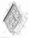 Fig. 02 - Cooking grate with integrated venting