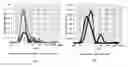 Fig. 01 - Methods of determining shale pore connectivity