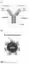 Fig. 02 - IMMUNOGLOBULIN ASSAYS USING NANOPARTICLES