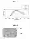 Fig. 02 - OPTICAL ELEMENT AND METHOD OF MANUFACTURING OPTICAL ELEMENT