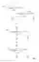 Fig. 07 - IMAGE FORMING APPARATUS