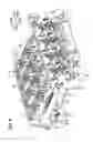 Fig. 07 - Image forming apparatus and process cartridge