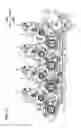 Fig. 28 - Image forming apparatus and process cartridge