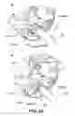 Fig. 40 - Rotational force transmitting part