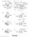 Fig. 82 - Rotational force transmitting part