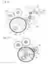 Fig. 06 - Moon phase display mechanism