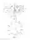 Fig. 05 - WRIST APPARATUS