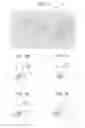Fig. 08 - VIDEO DISPLAY SYSTEM, VIDEO DISPLAY METHOD, VIDEO DISPLAY PROGRAM
