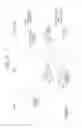 Fig. 17 - INFORMATION PROCESSING APPARATUS