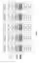 Fig. 08 - Processing incomplete data access transactions