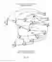 Fig. 12 - Engine architecture for processing finite automata