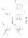 Fig. 23 - Efficient management of paged translation maps in memory and flash