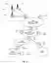 Fig. 13 - Functional caching in erasure coded storage