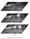 Fig. 06 - Multi-source, multi-scale counting in dense crowd images