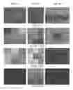 Fig. 07 - Multi-source, multi-scale counting in dense crowd images