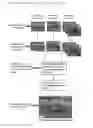 Fig. 02 - Method and processing unit for correlating image data content from disparate sources