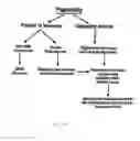 Fig. 22 - SYSTEM FOR GENERATING A PHONEBOOK DIRECTORY AND PHONE NUMBER EVALUATION