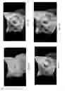 Fig. 08 - METHOD AND APPARATUS FOR GENERATING GRAPHIC IMAGES
