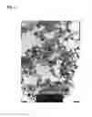 Fig. 06 - Iron-based oxide magnetic particle powder, method for producing same, coating material, and magnetic recording medium