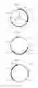 Fig. 03 - Common mode choke coil