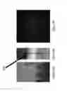 Fig. 09 - System and method for performing nano beam diffraction analysis