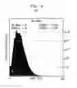 Fig. 06 - Barrier layers in trenches and vias