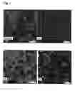 Fig. 02 - CARBON SUPPORTED CATALYST COMPRISING A MODIFIER AND PROCESS FOR PREPARING THE CARBON SUPPORTED CATALYST