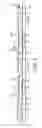 Fig. 04 - Antenna array assembly