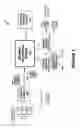 Fig. 02 - PREDICTIVE ANOMALY DETECTION IN COMMUNICATION SYSTEMS