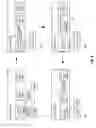 Fig. 09 - Distributed network troubleshooting using simultaneous multi-point packet capture