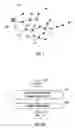 Fig. 02 - Method, apparatus and system for transmitting and receiving data packets