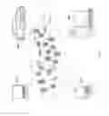 Fig. 07 - Cognitive messaging with dynamically changing inputs