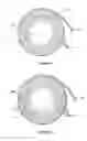 Fig. 02 - COIL OF CUTTING WIRE FOR A VEGETATION CUTTING MACHINE HAVING A GROOVED INNER SURFACE