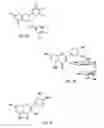Fig. 09 - Methods and compositions for supporting endogenous systems related to life span
