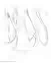Fig. 02 - INSOLE ASSEMBLY