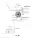 Fig. 07 - Systems and methods for an automated barbecue smoker
