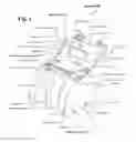 Fig. 02 - Bathing apparatuses and methods of making and using the same