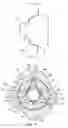 Fig. 06 - Prosthesis having pivoting fenestration
