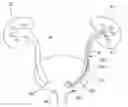 Fig. 01 - Stent pusher assembly