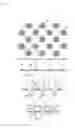 Fig. 04 - Absorbent article having stretchable region with high peeling strength and method for producing same