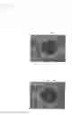 Fig. 35 - Absorbent article having stretchable region with high peeling strength and method for producing same