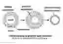 Fig. 01 - COSMETIC COMPOSITION FOR IMPROVING SKIN ELASTICITY