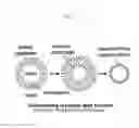 Fig. 02 - COSMETIC COMPOSITION FOR IMPROVING SKIN ELASTICITY